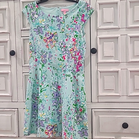 Lilly pulitzer dress - Picture 1 of 3